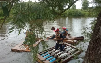 kolonie_20259-825x460